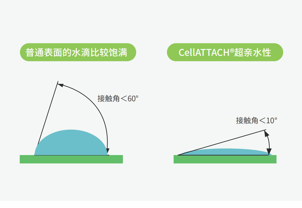 獨(dú)特的超親水表面處理技術(shù)，能為細(xì)胞提供更好的吸附性，促進(jìn)細(xì)胞快速貼壁生長(zhǎng)，提高產(chǎn)量